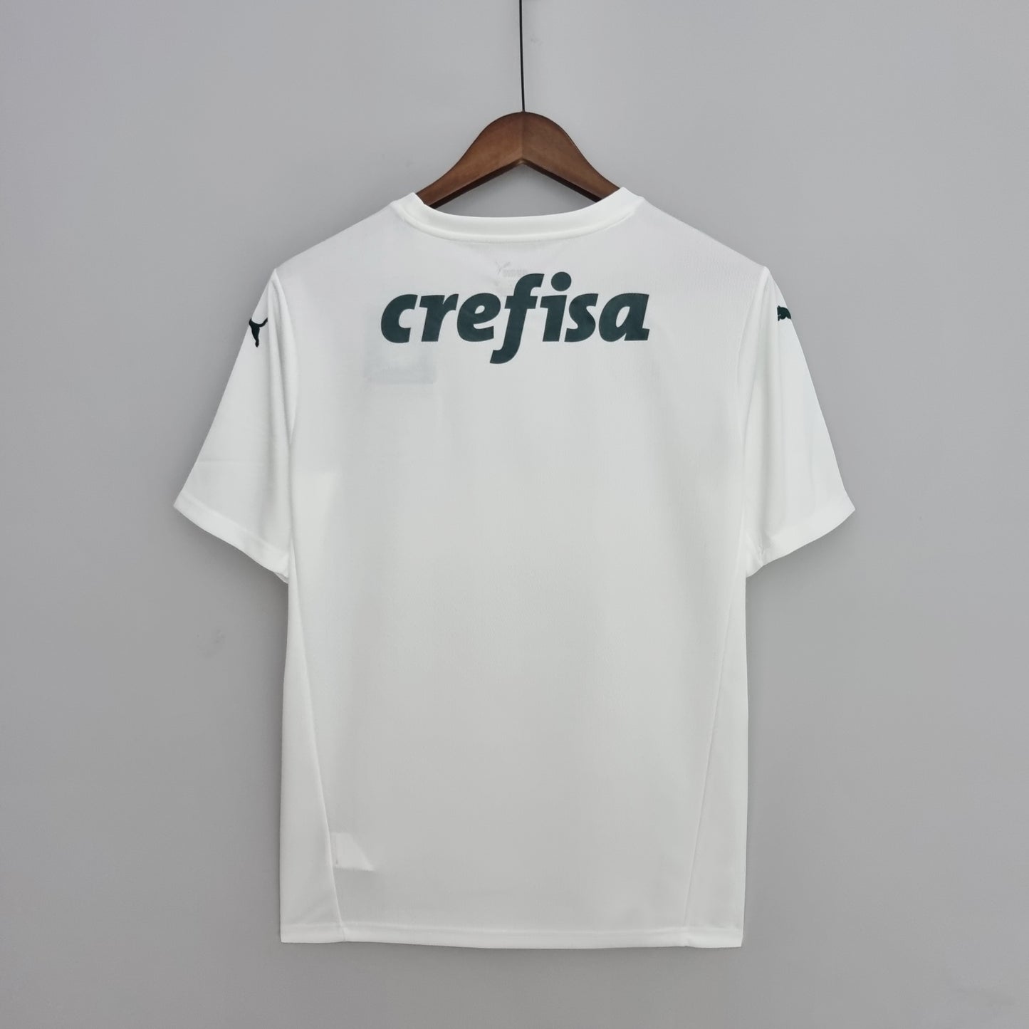 Palmeiras Away Kit *no sponsor* 22/23
