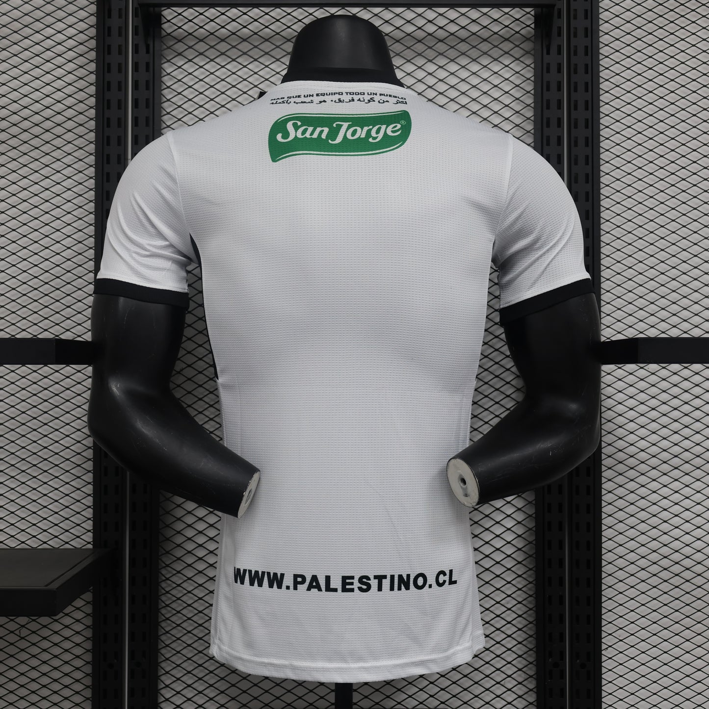 Deportivo Palestino Third Kit 23/24