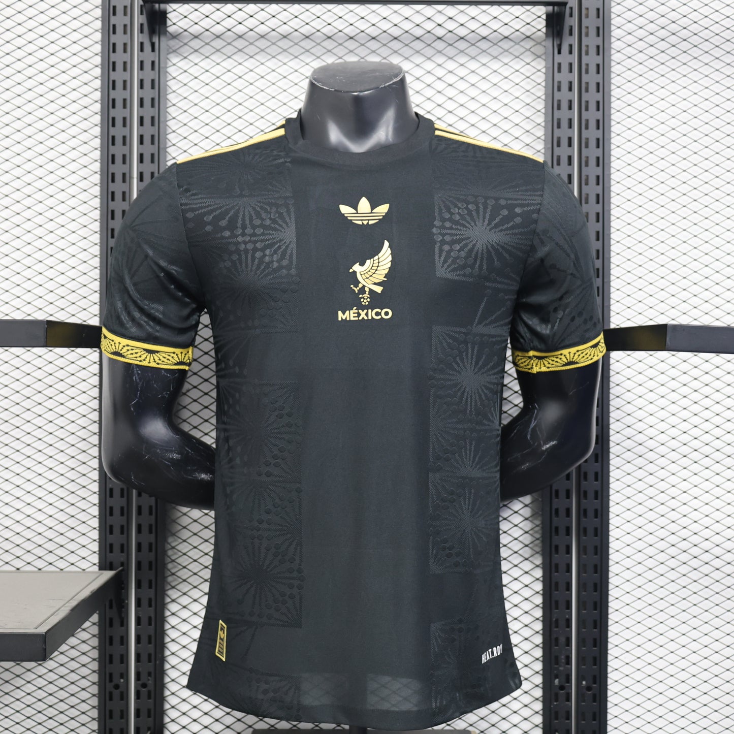 Mexico Gold Kit 24/25