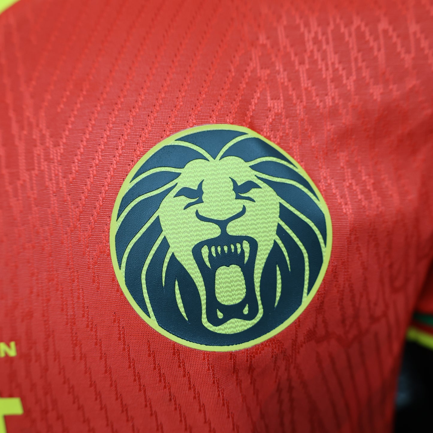 Cameroon Away World Cup Kit 25/26