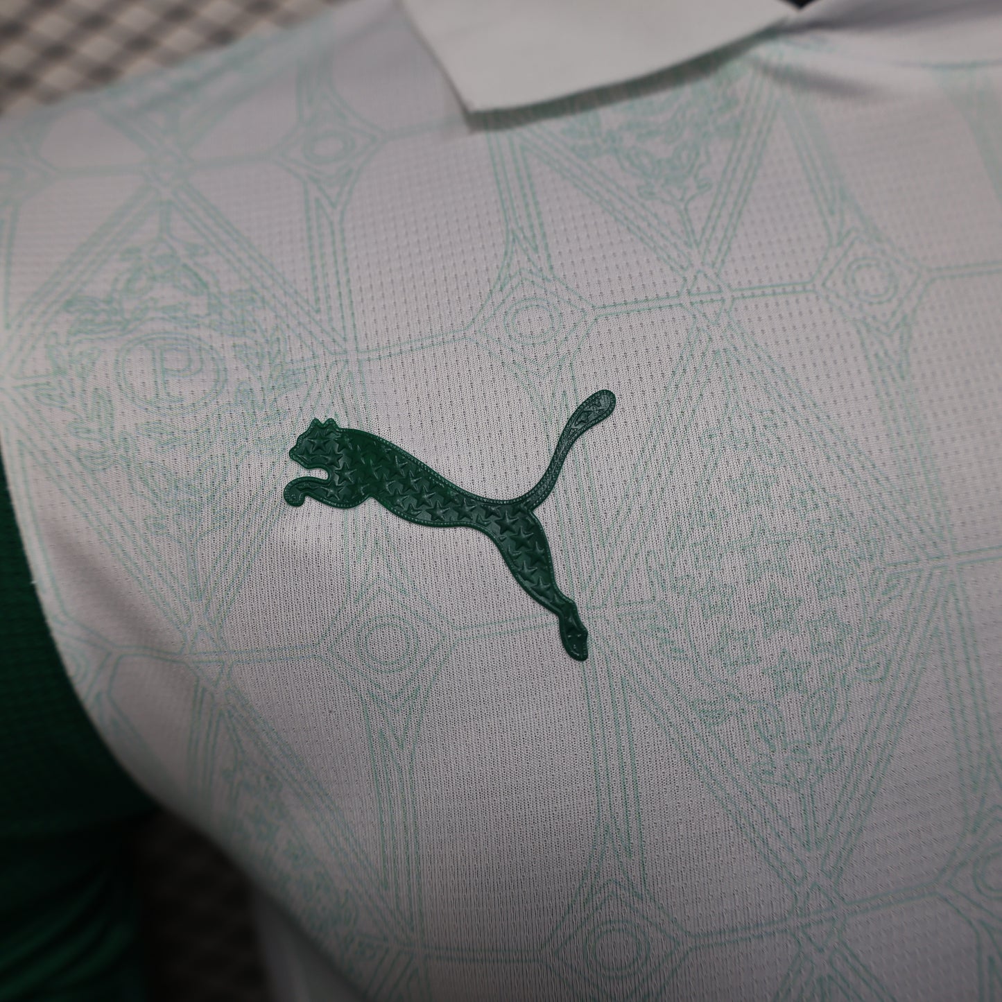 Palmeiras Away Kit 25/26