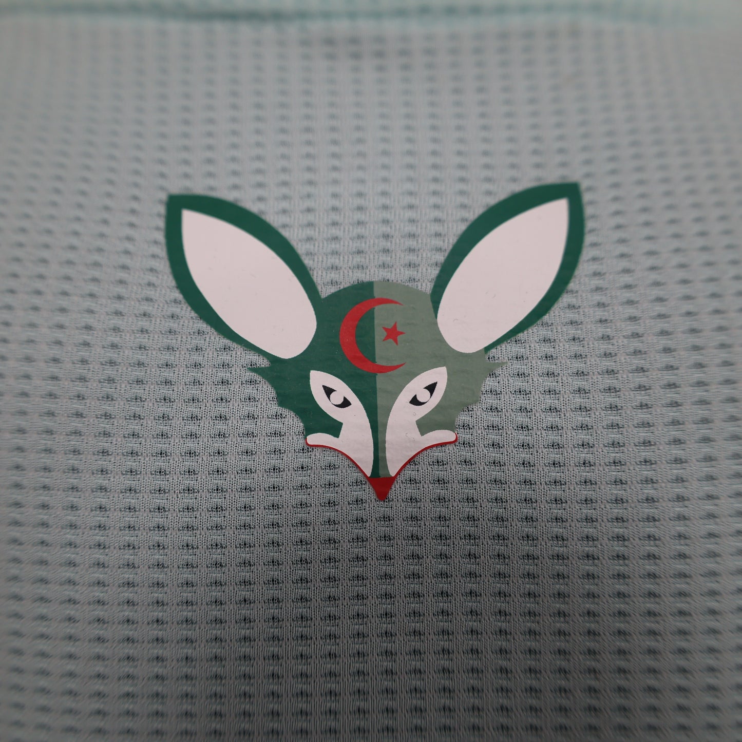 Algeria Special Kit 23/24