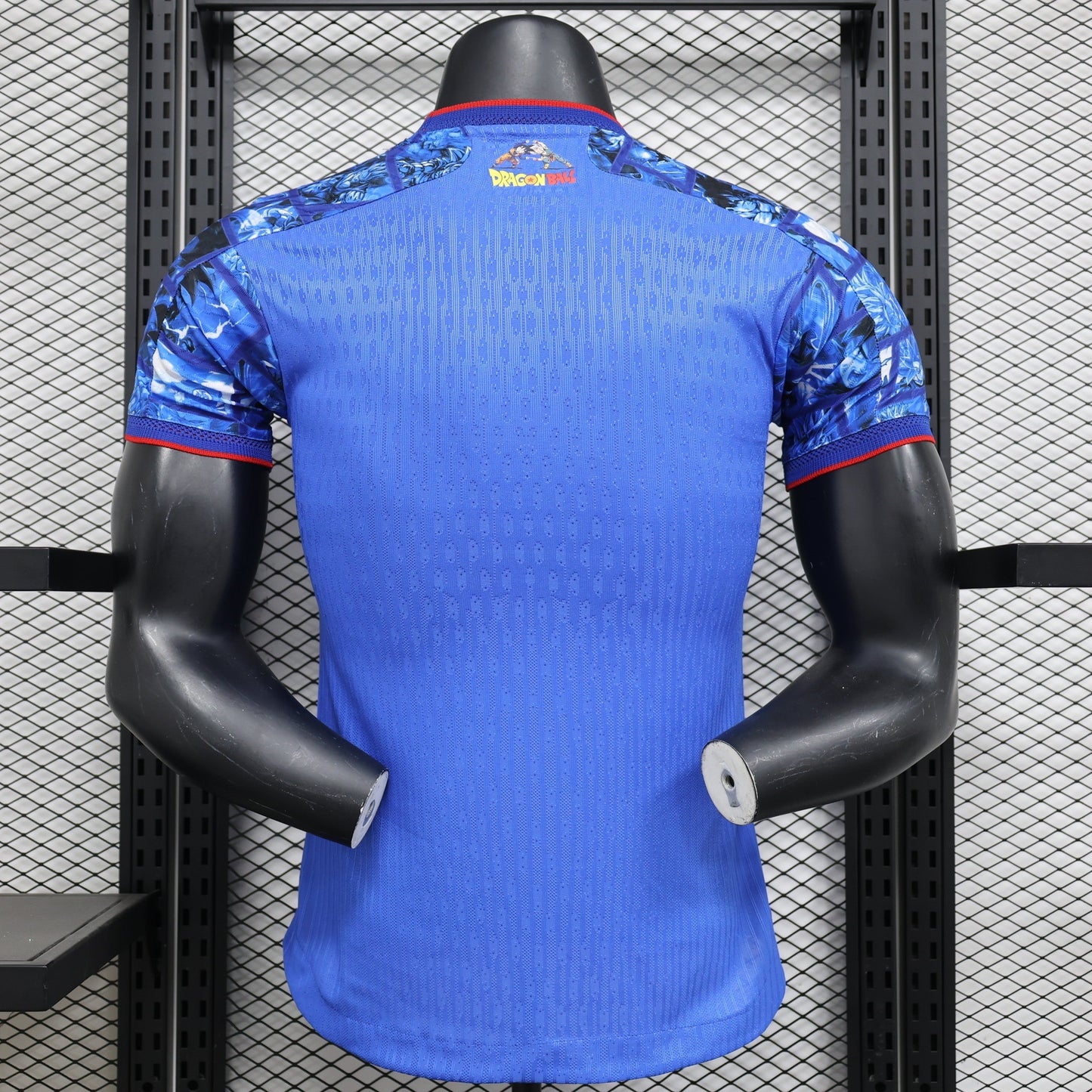 Japan "Ao no Seirei" Kit 23/24
