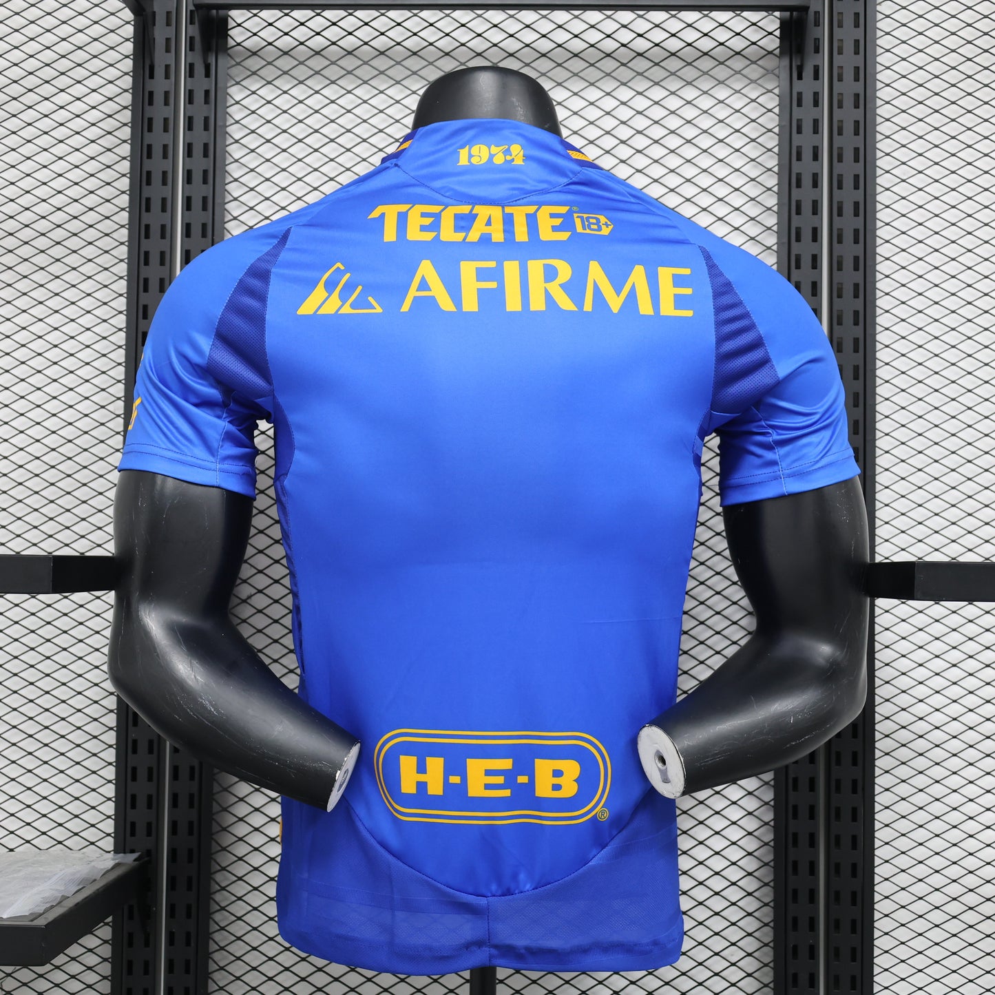 Tigres UANL Away Kit 24/25