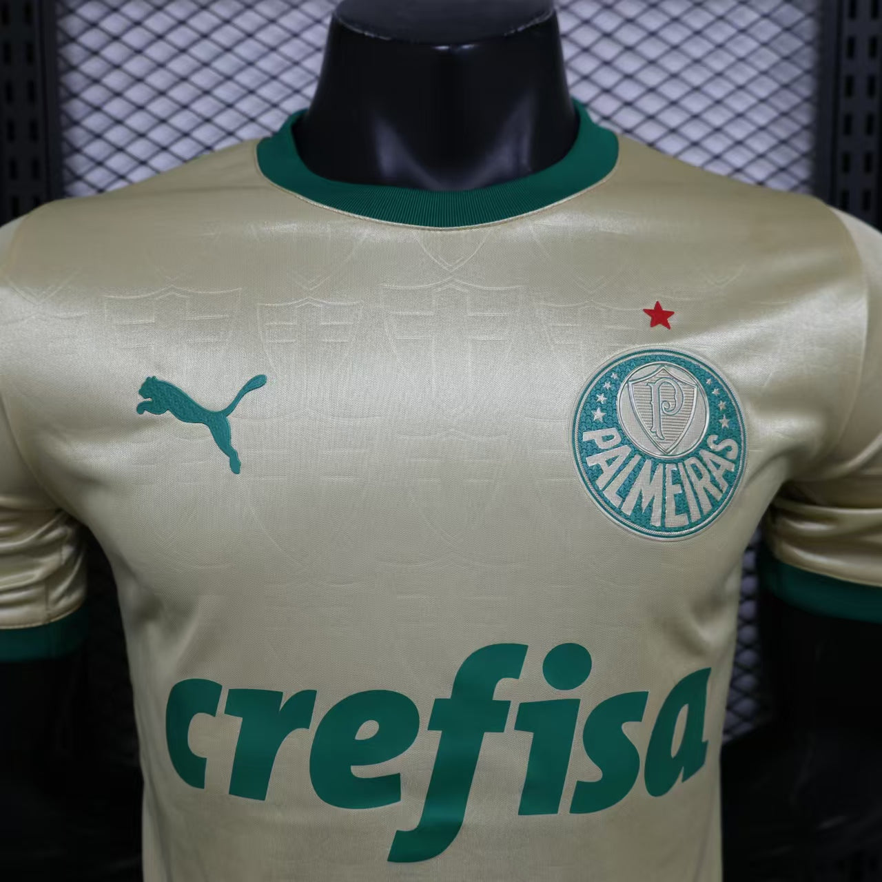 Palmeiras Third Kit 24/25