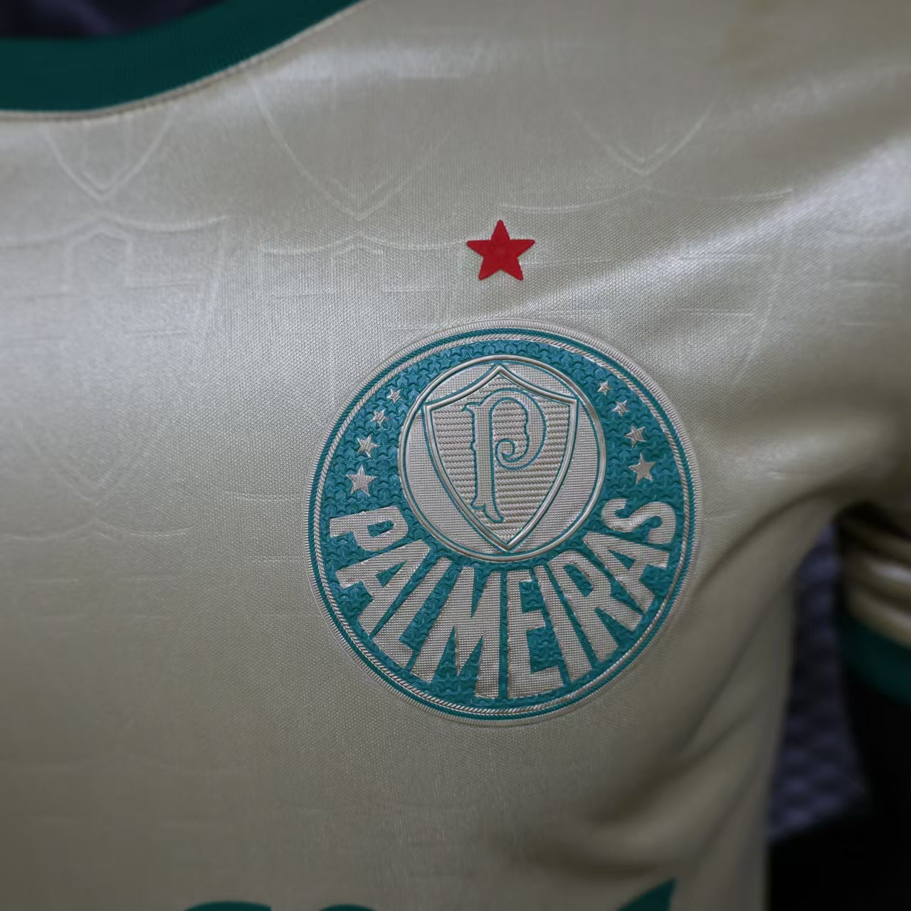 Palmeiras Third Kit 24/25