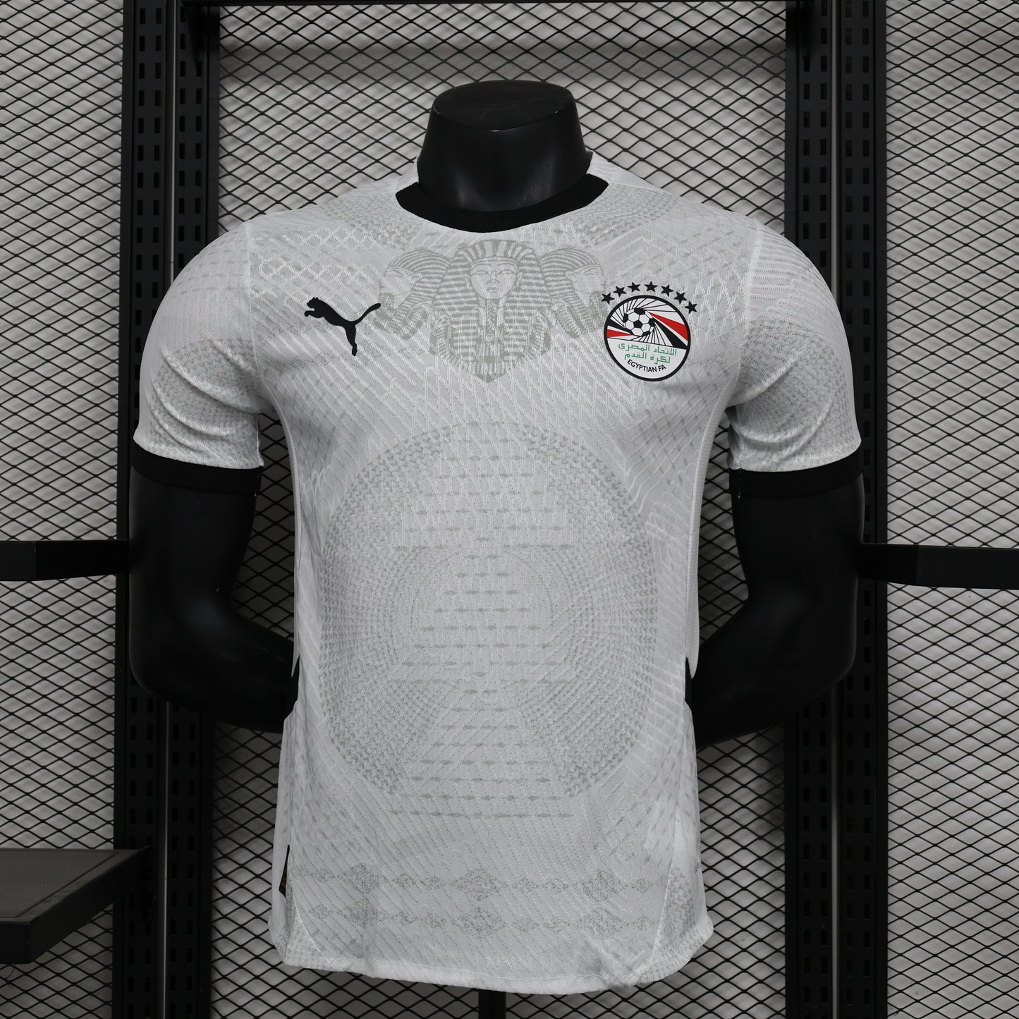 Egypt Away Kit 24/25