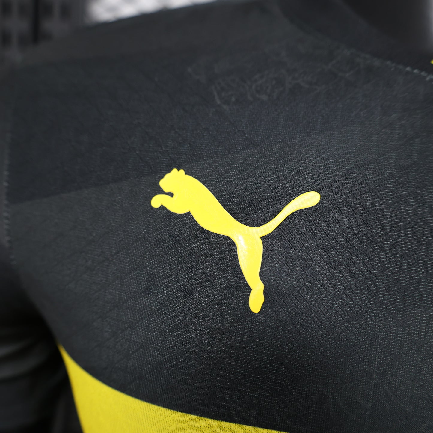 Borussia Dortmund Away Kit 24/25