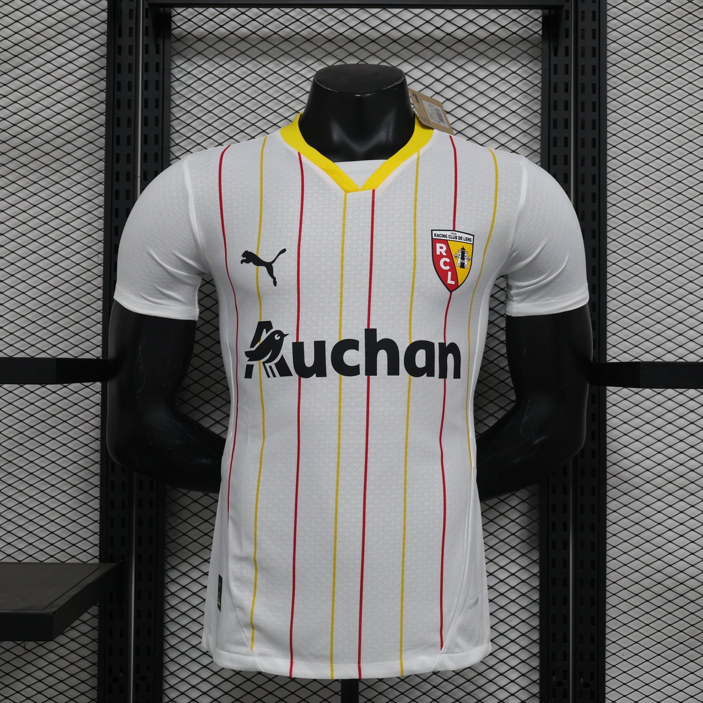 RC Lens Home Kit 24/25