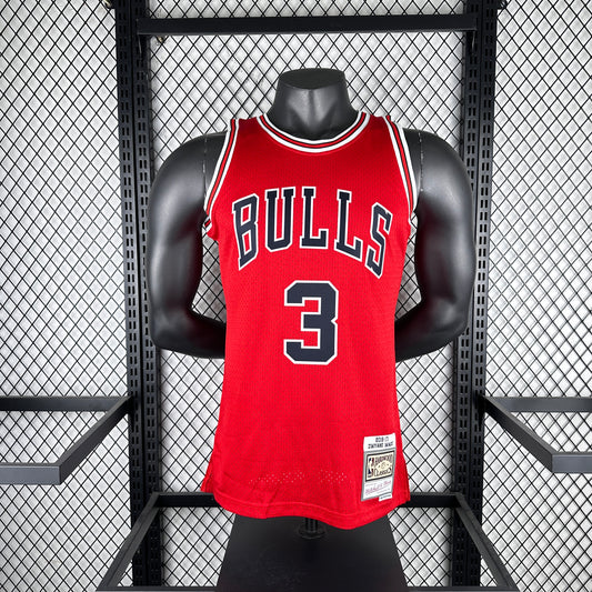 NBA Jersey: Chicago Bulls