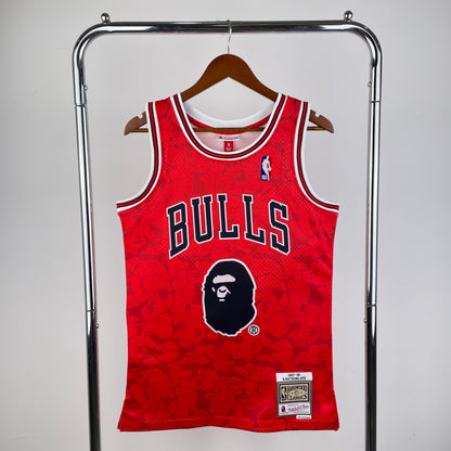 NBA Jersey: Chicago Bulls