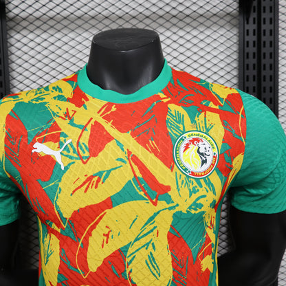 Senegal Special Kit 24/25