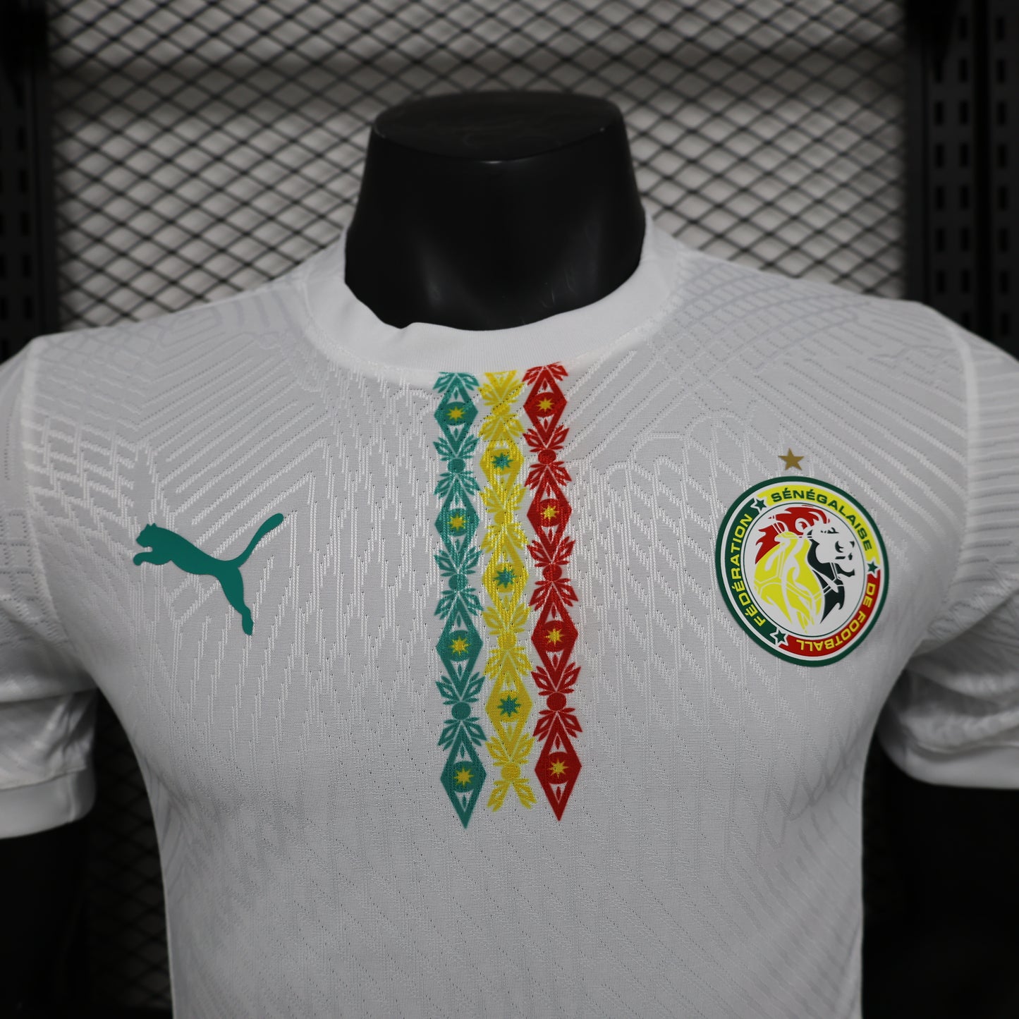 Senegal Home Kit 24/25