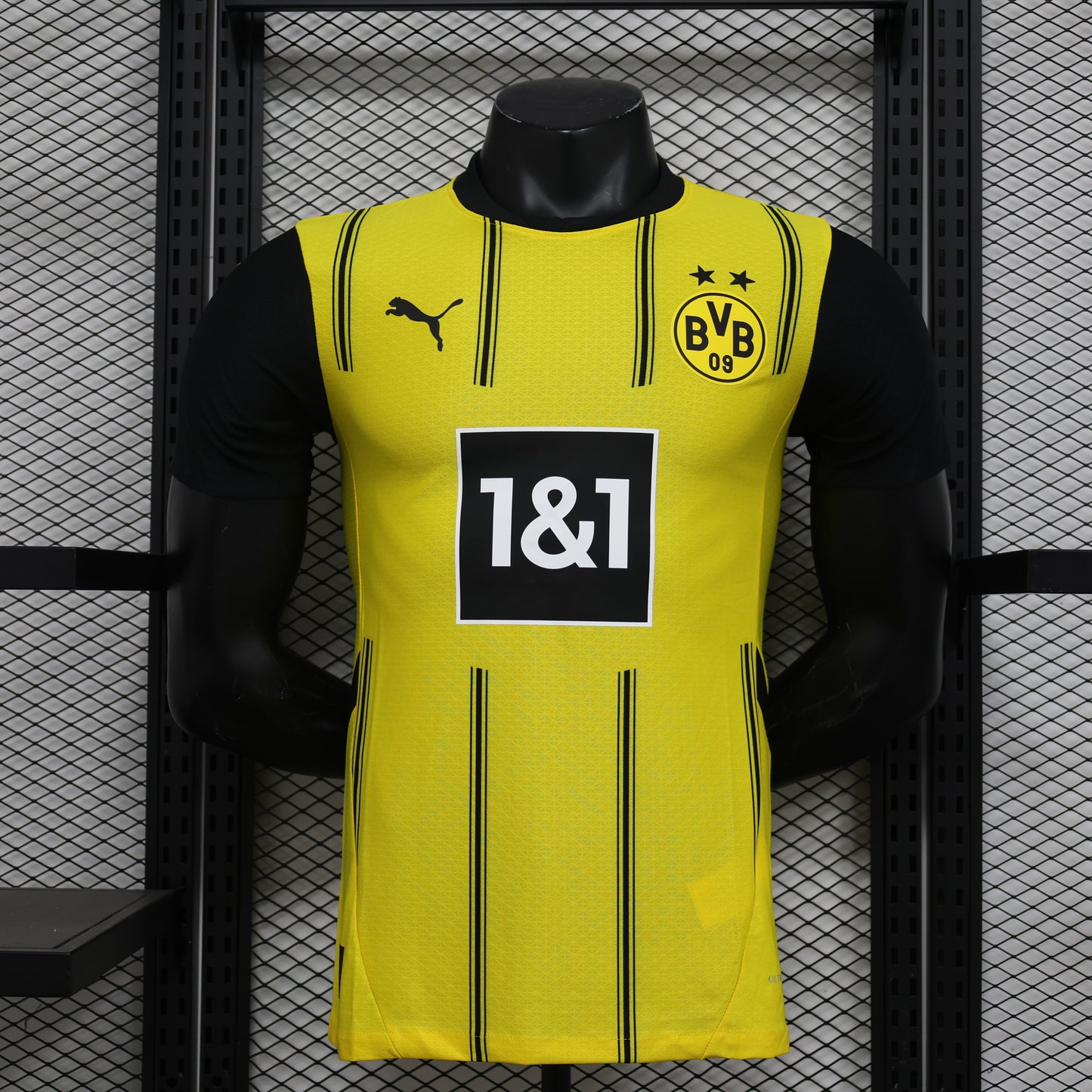 Borussia Dortmund Home Kit 24/25