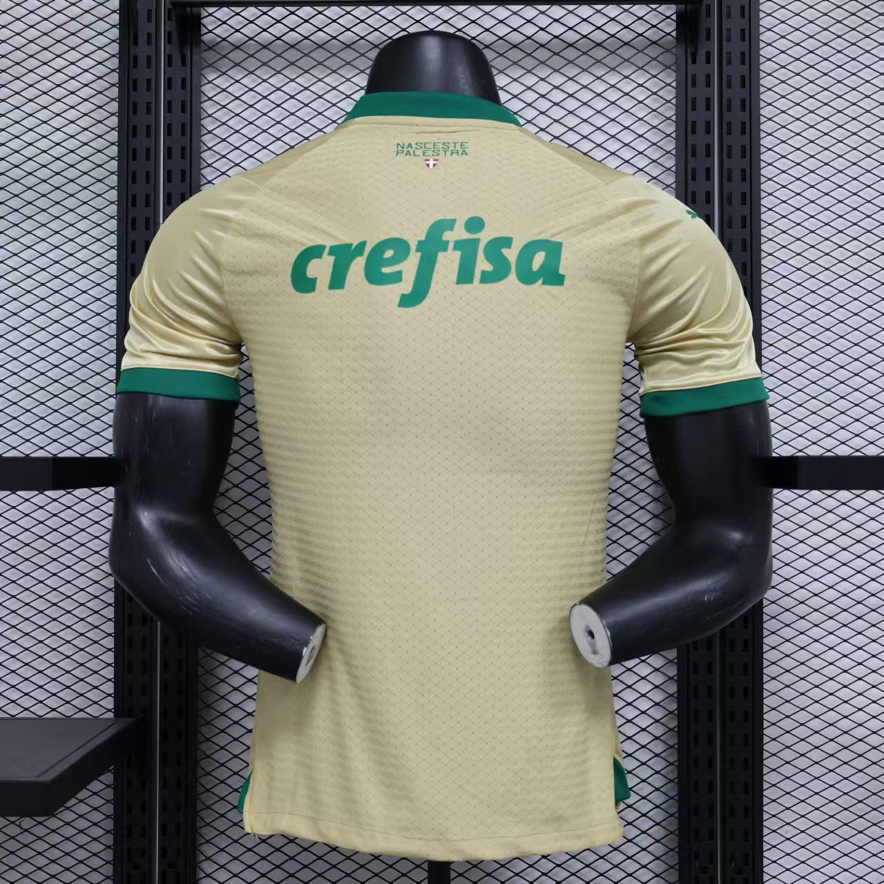 Palmeiras Third Kit 24/25