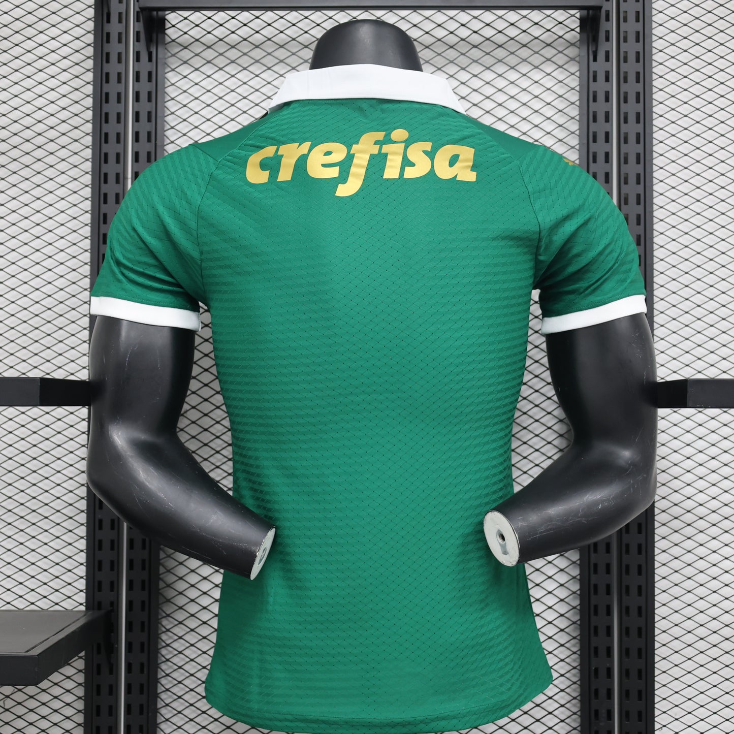 Palmeiras Home Kit 24/25