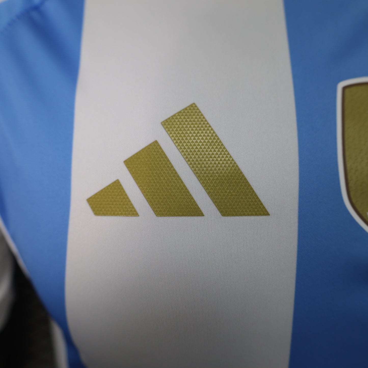 Argentina Home Kit 23/24