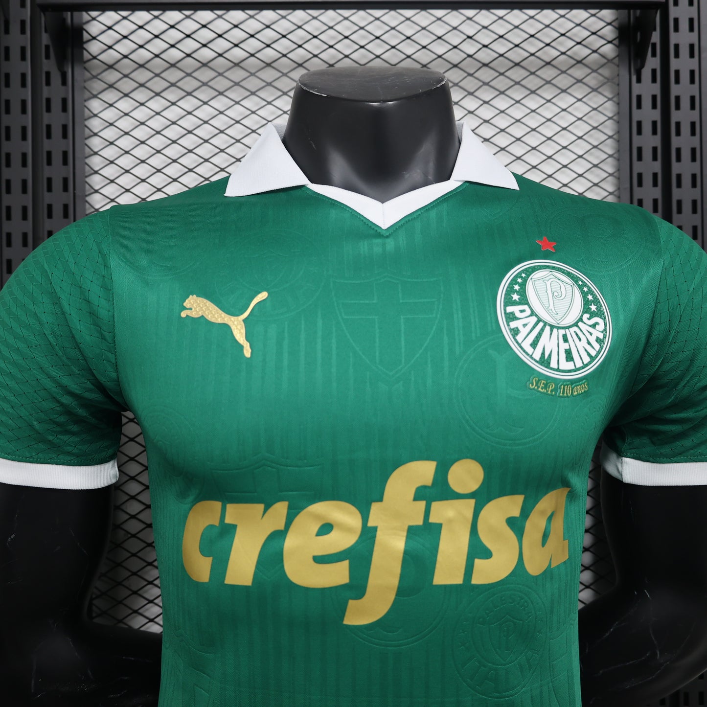 Palmeiras Home Kit 24/25