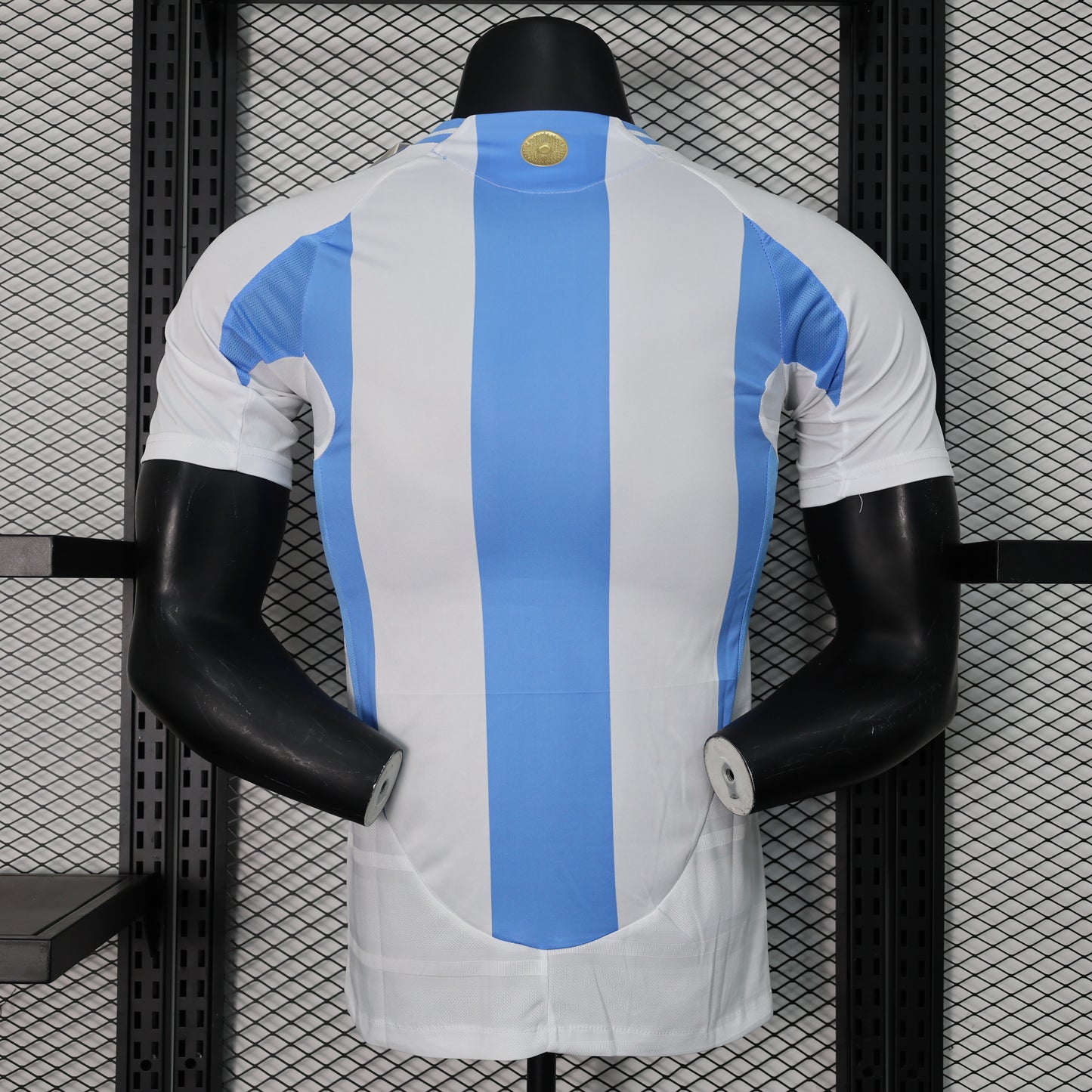 Argentina Home Kit 23/24