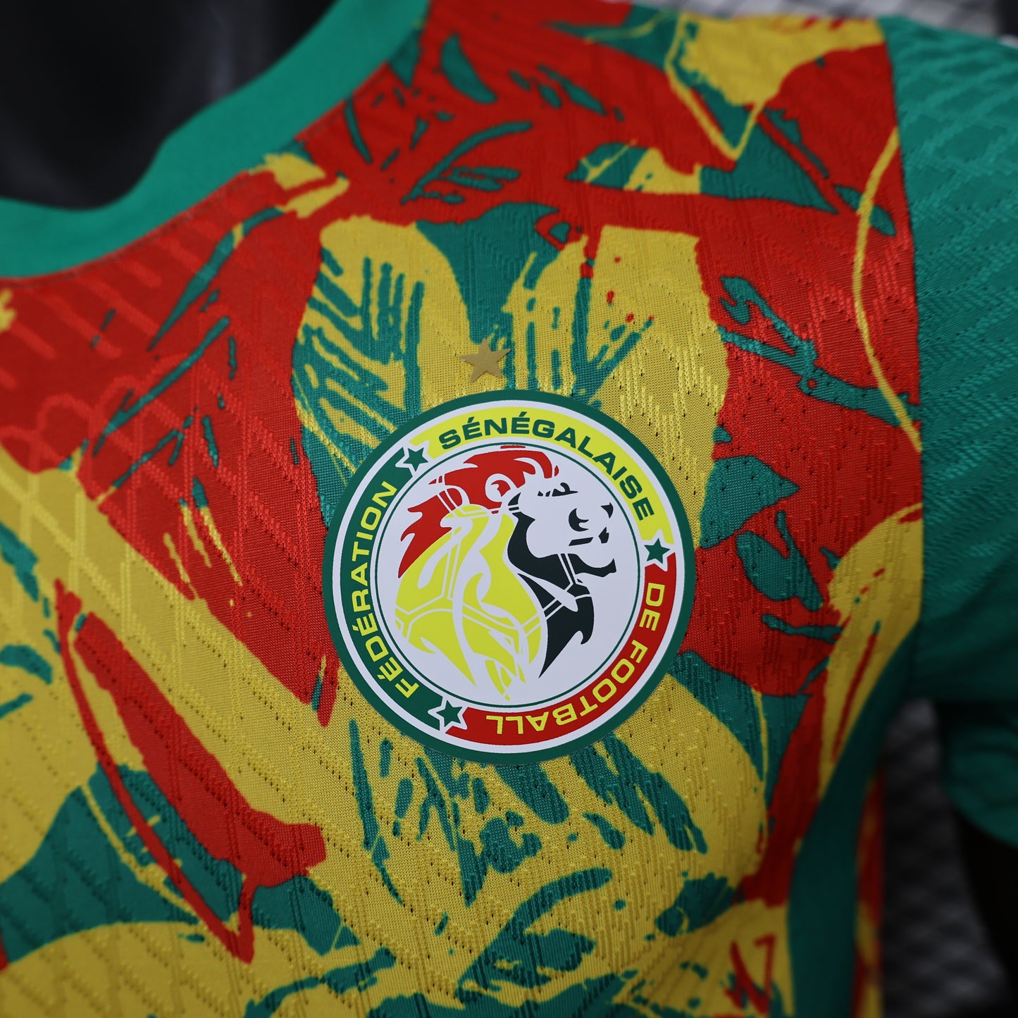 Senegal Special Kit 24/25