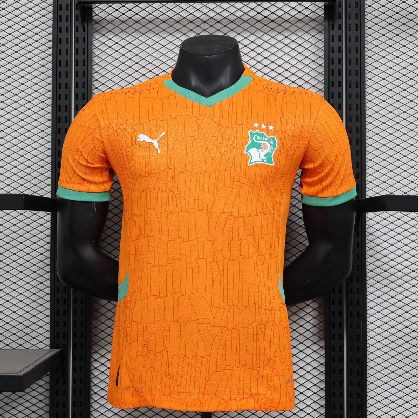 Ivory Coast Home Kit 24/25