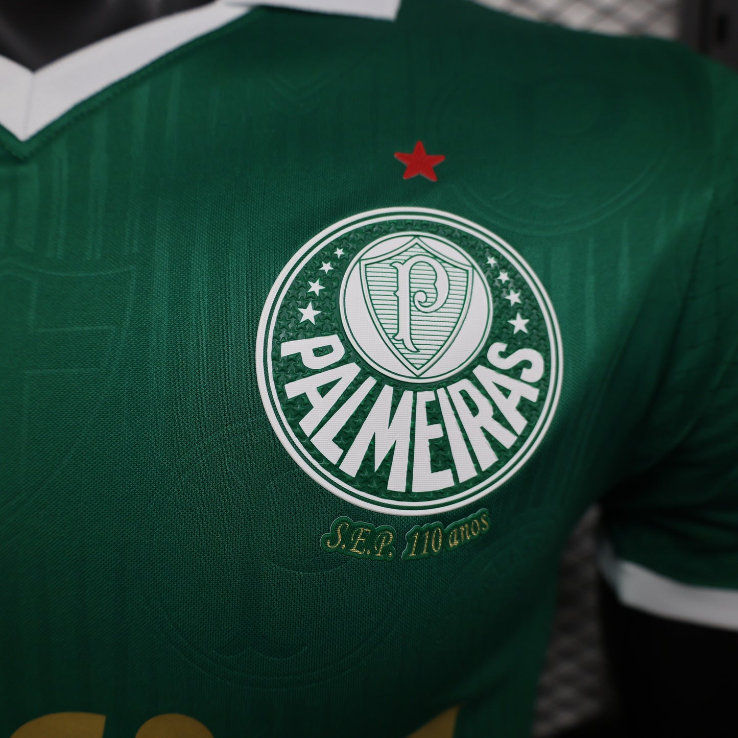 Palmeiras Home Kit 24/25