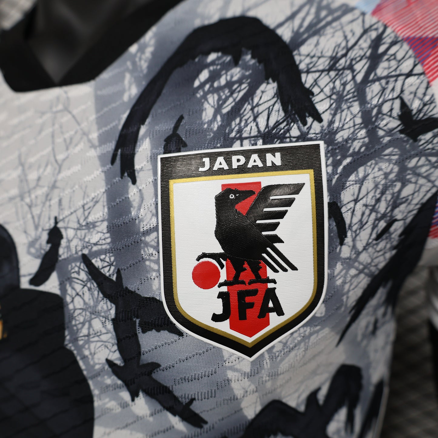 Japan Special Kit 24/25