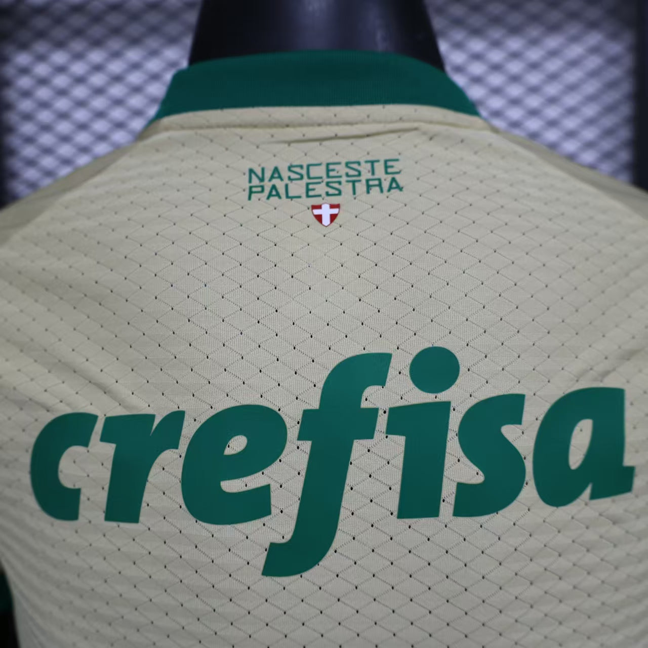 Palmeiras Third Kit 24/25