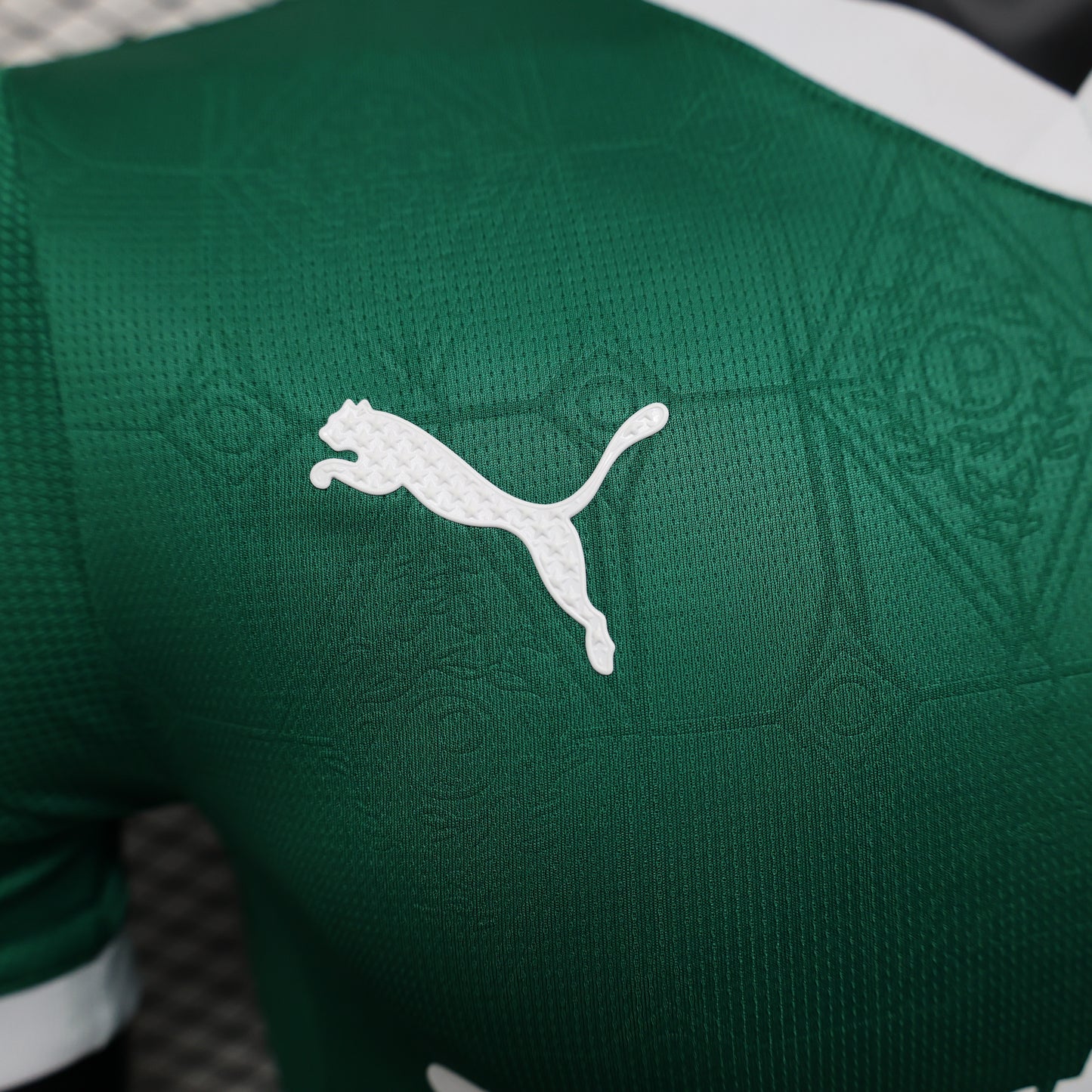 Palmeiras Home Kit 25/26