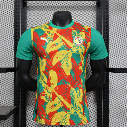 Senegal Special Kit 24/25